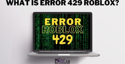 What is Error 429 Roblox? Step by Step Guide For Its Fixation