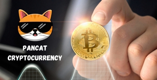 What is Pancat Cryptocurrеncy: How To Buy It?