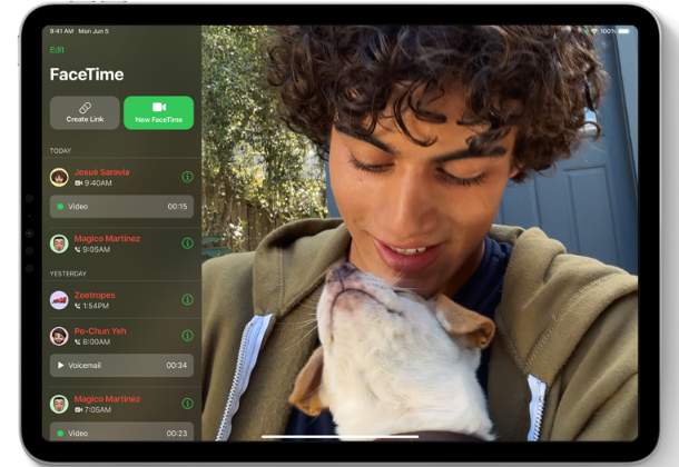 FaceTime on iPadOS 17
