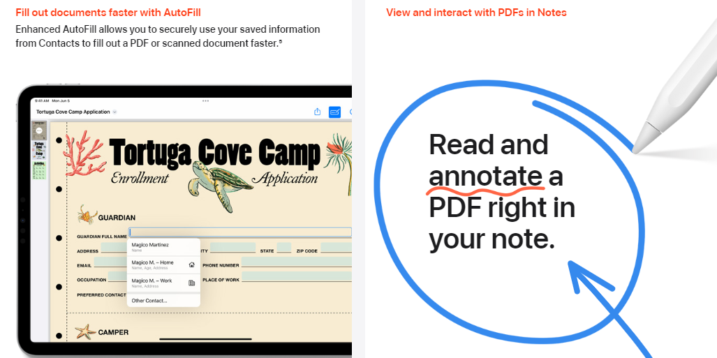 PDF s & Notes on iPadOS 17